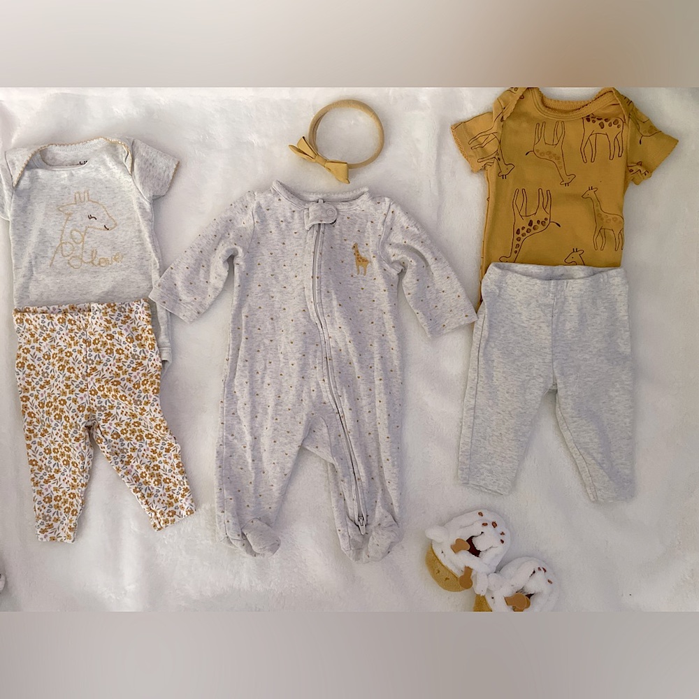 Giraffe assortment
